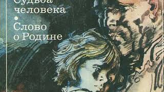 Как вернуть аккаунт кракен